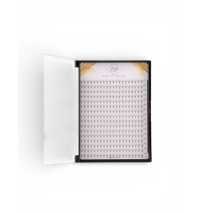 Extensions de cils Premade